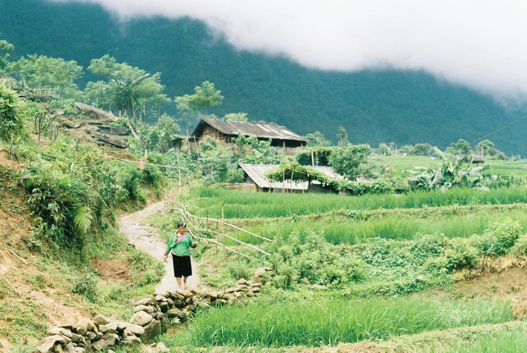 Joy House Sapa Apartment Exterior foto
